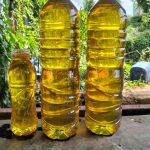 TEC Premium Solar Industri B40